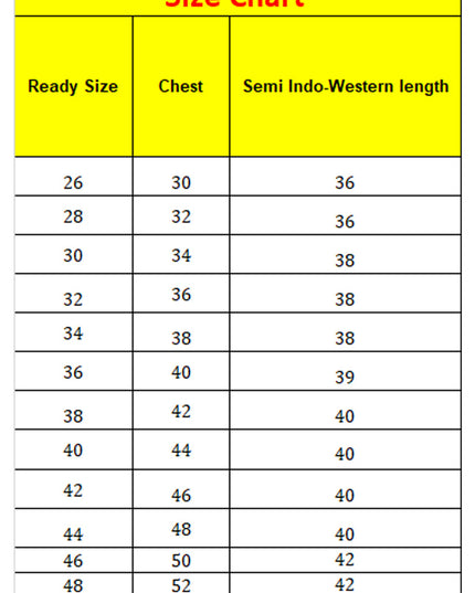 Grey Designer Indo Western